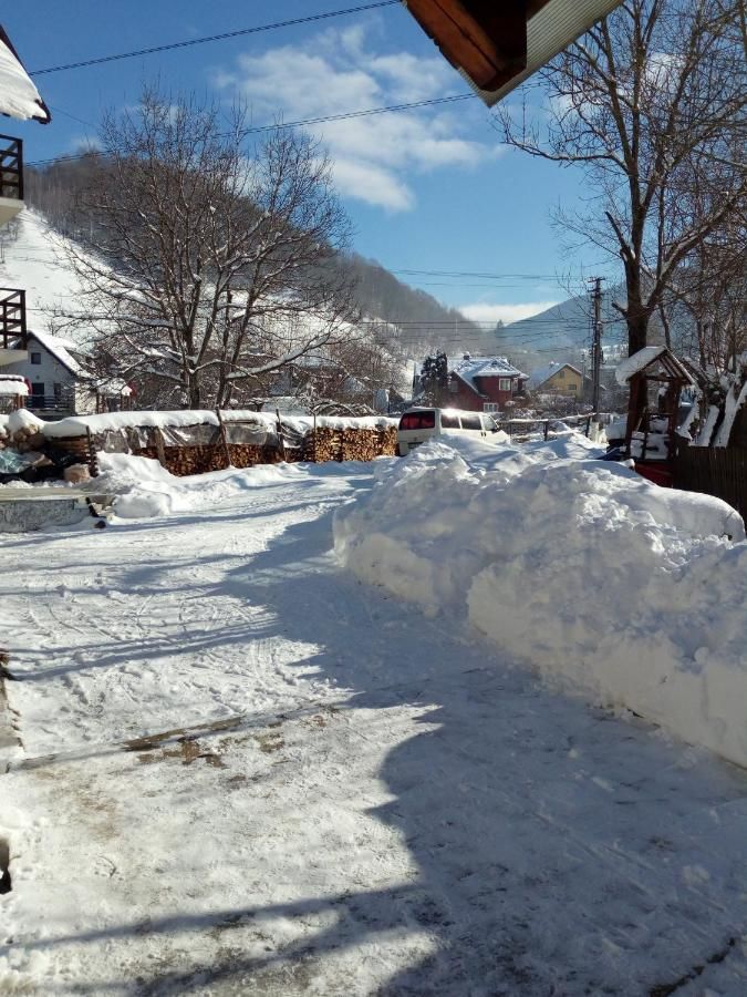 Гостевой дом Casa Tican Бран-28