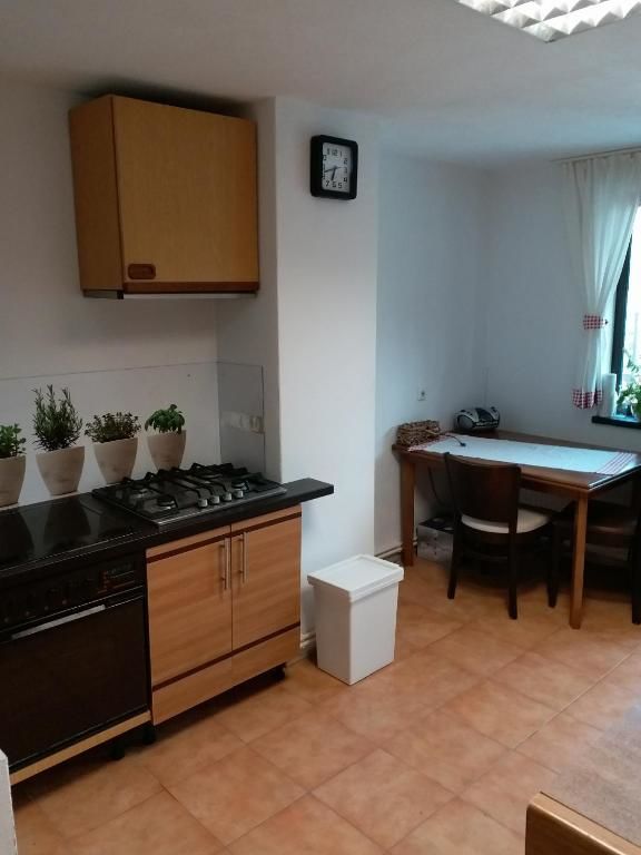 Гостевой дом Casa Tican Бран-34