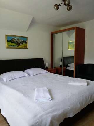 Гостевой дом Casa Tican Бран Апартаменты с видом на горы-3