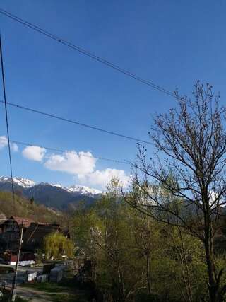 Гостевой дом Casa Tican Бран Номер с кроватью размера «king-size» и видом на горы-8