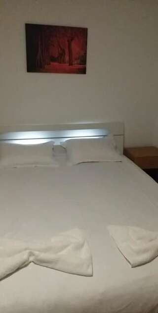 Гостевой дом Casa Tican Бран Номер с кроватью размера «king-size» и видом на горы-14