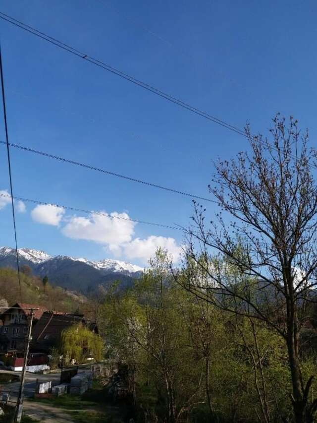 Гостевой дом Casa Tican Бран-31