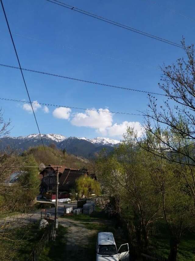 Гостевой дом Casa Tican Бран-32