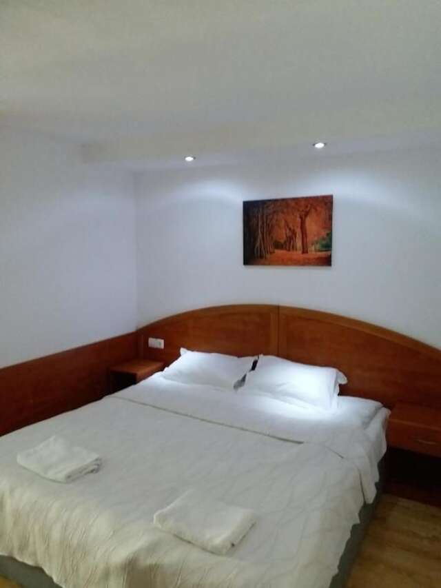 Гостевой дом Casa Tican Бран-37